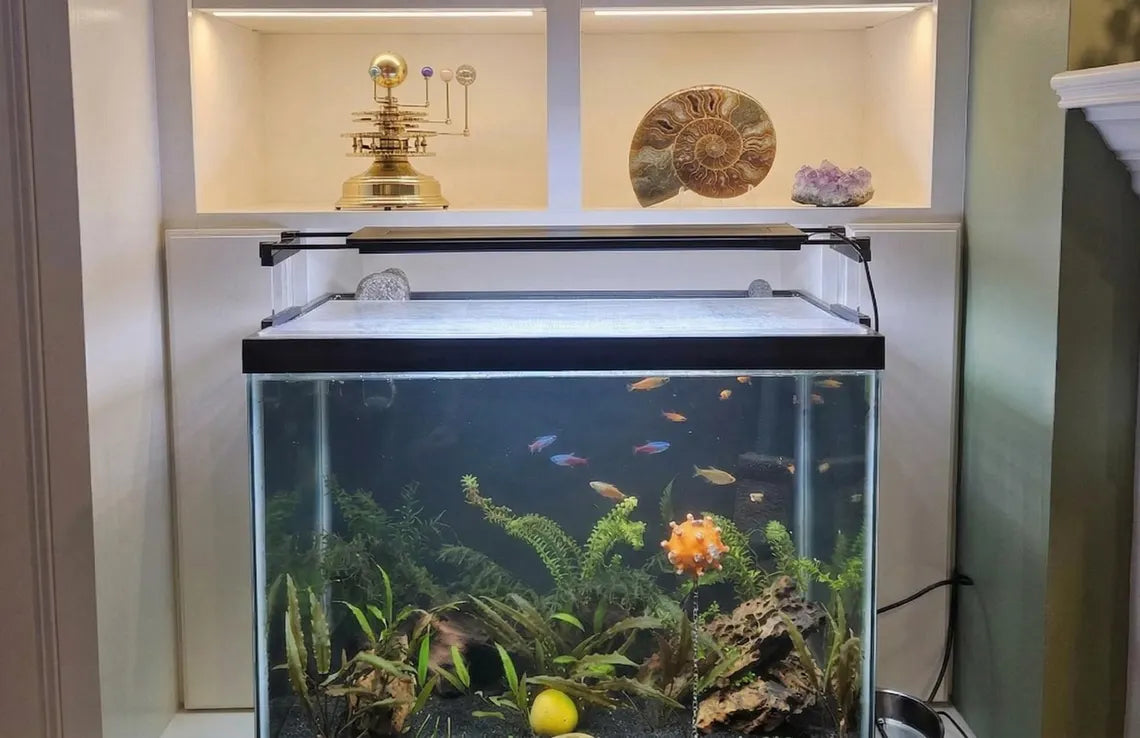 Angled Aquarium Light Riser Set for Fish Tank Plant Lights