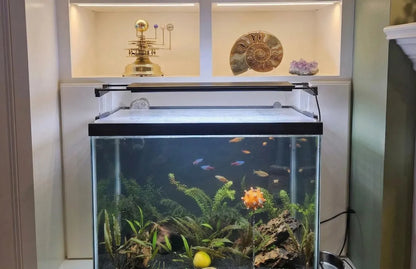 Angled Aquarium Light Riser Set for Fish Tank Plant Lights