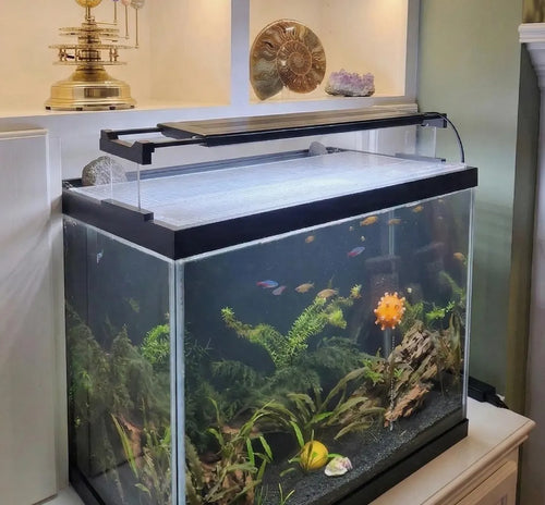 Angled Aquarium Light Riser Set for Fish Tank Plant Lights
